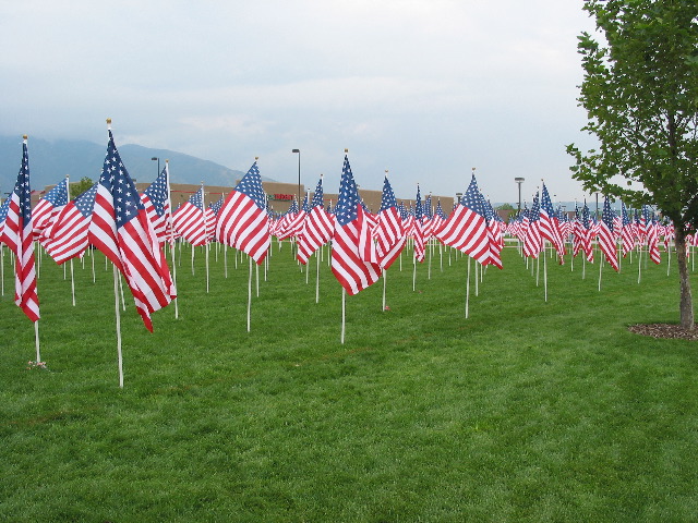 Flags On The Field